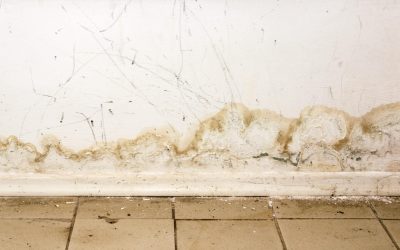 Basement Flood Damage