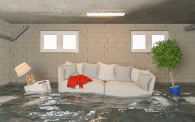What Does it Mean to be a Basement Health Certified Specialist?