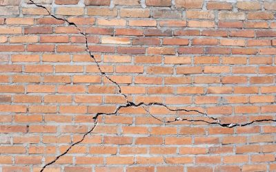 Environmental Effects on Your Foundation