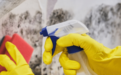 What Does Waterproofing Protect Against