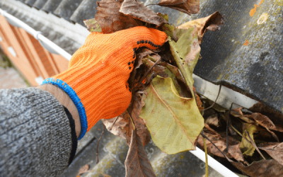 Gutter Clean Up
