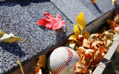 Gutter Cleaning Tips