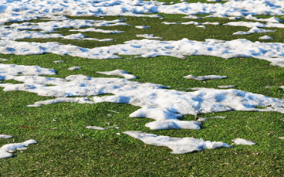 Does the Spring Thaw Bring Moisture to your Basement?