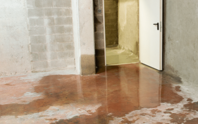 Six Reasons Why it’s Important to Have a Sump Pump with a Battery Backup System