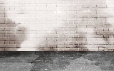 What is basement waterproofing and how do I know if I need it?