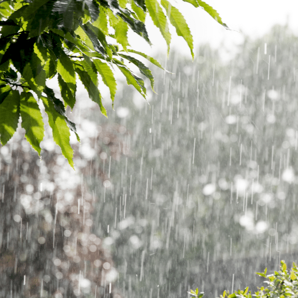 Spring Showers and Your Home: How to Divert Rainwater Away from Your Foundation
