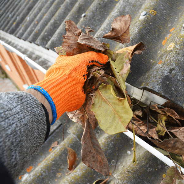 Gutter Clean Up article