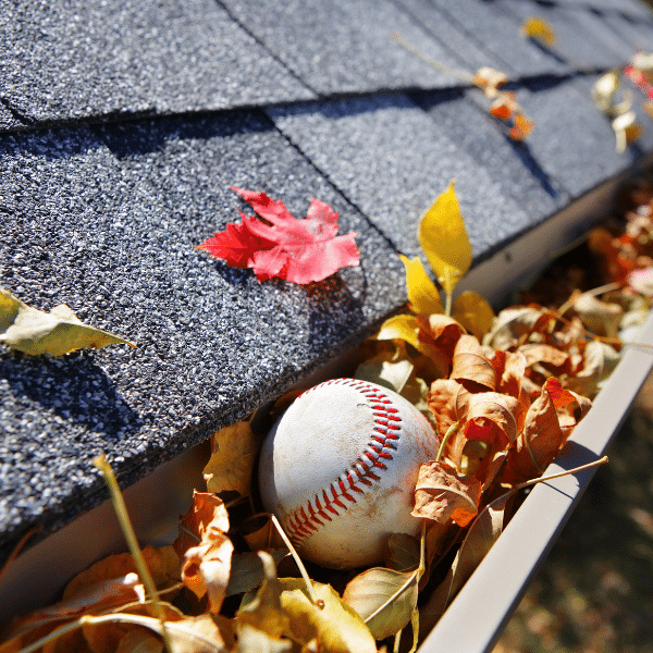 Gutter Cleaning Tips