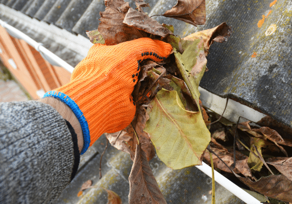 Gutter Clean Up article