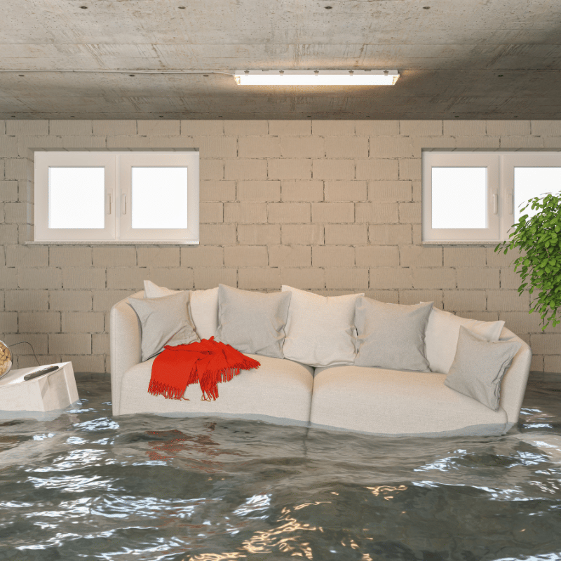 Basement Leak