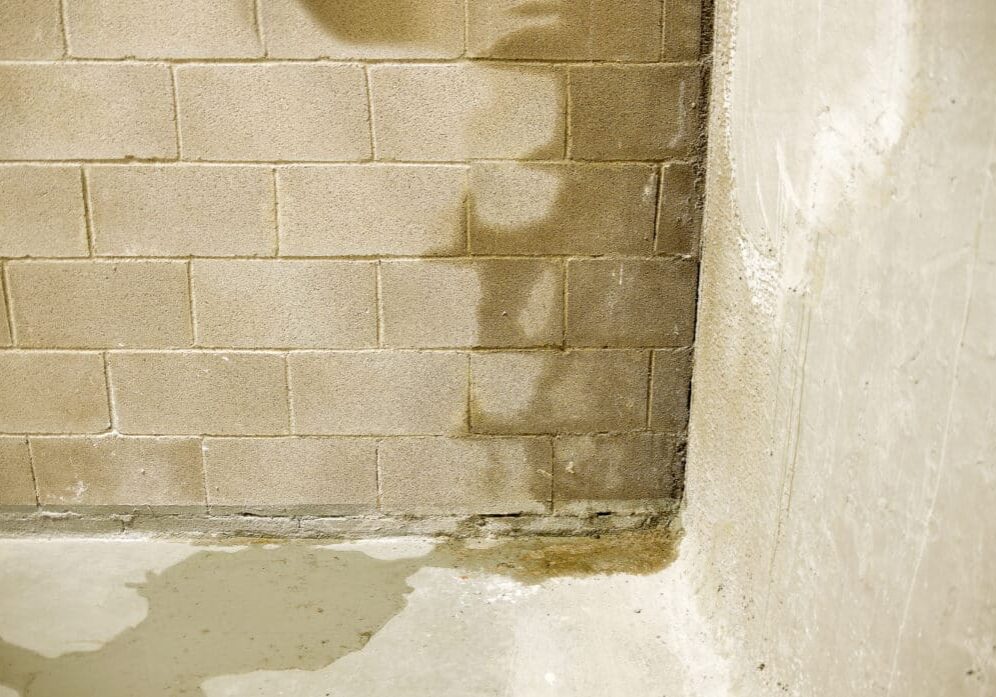 moisture on wall basement waterproofing