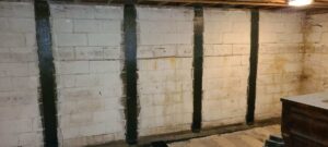 Carbon Guard Bowed Wall Repair